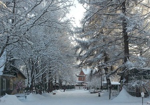 Грузино